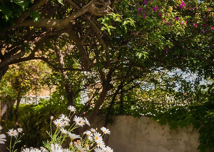 Panoramica - Ponte ホテル 3*