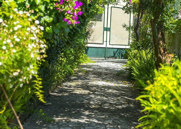 ホテル Panoramica - Ponte