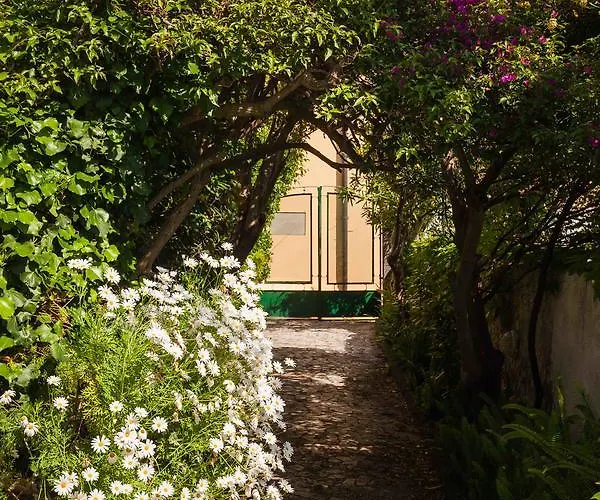 Hotel Panoramica - Ponte Ischia